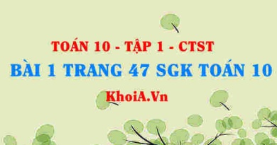 Bài 1 trang 47 SGK Toán 10 tập 1 Chân trời sáng tạo